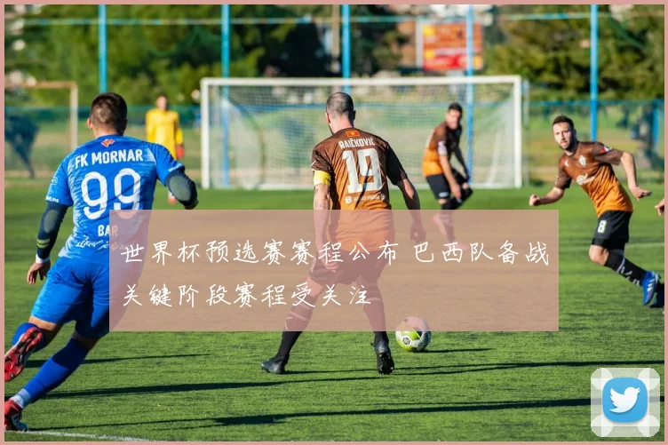 世界杯预选赛赛程公布 巴西队备战关键阶段赛程受关注