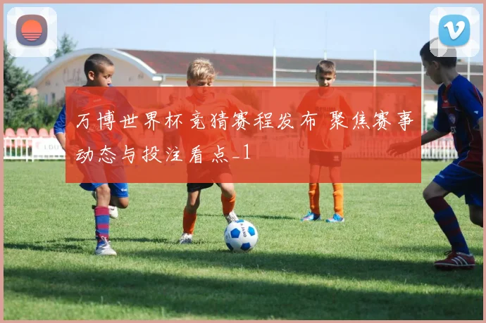 万博世界杯竞猜赛程发布 聚焦赛事动态与投注看点_1