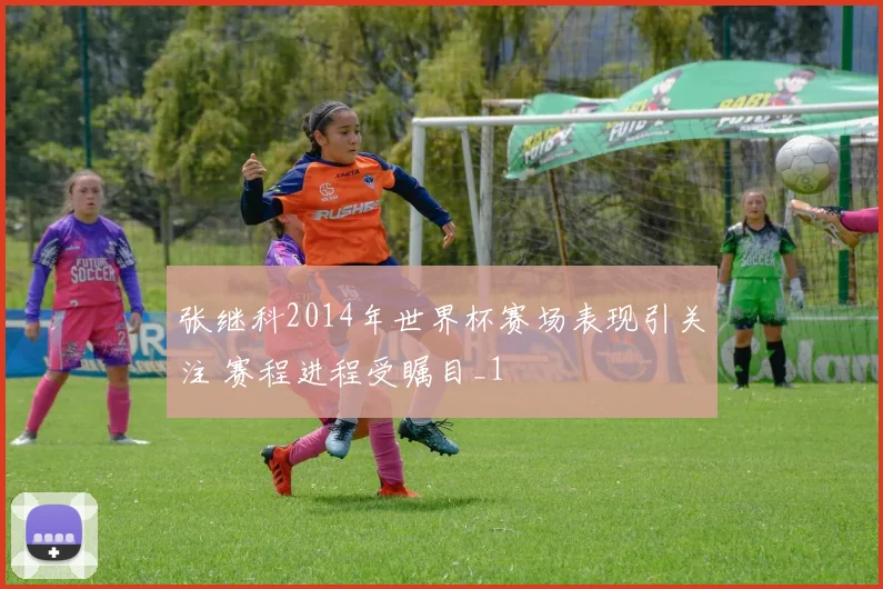 张继科2014年世界杯赛场表现引关注 赛程进程受瞩目_1