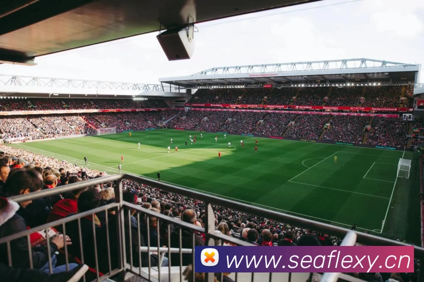 App Interface Preview